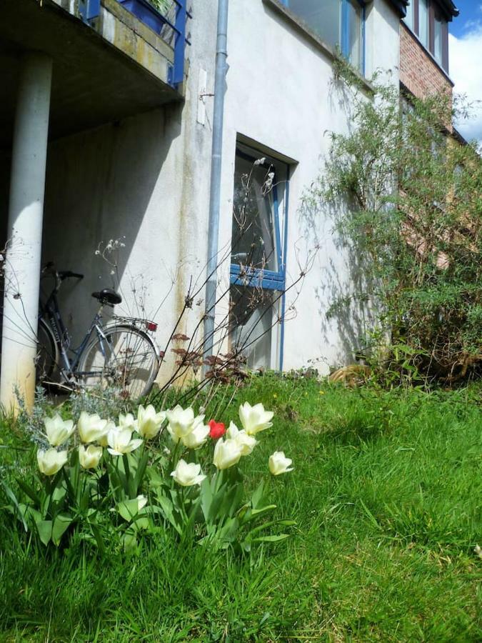 Appartement 2 Chambres Au Calme Et Au Vert, A Louvain-La-Neuve Ngoại thất bức ảnh